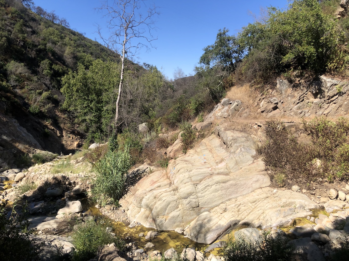 On the Art of Camouflaging Rocks - Montecito