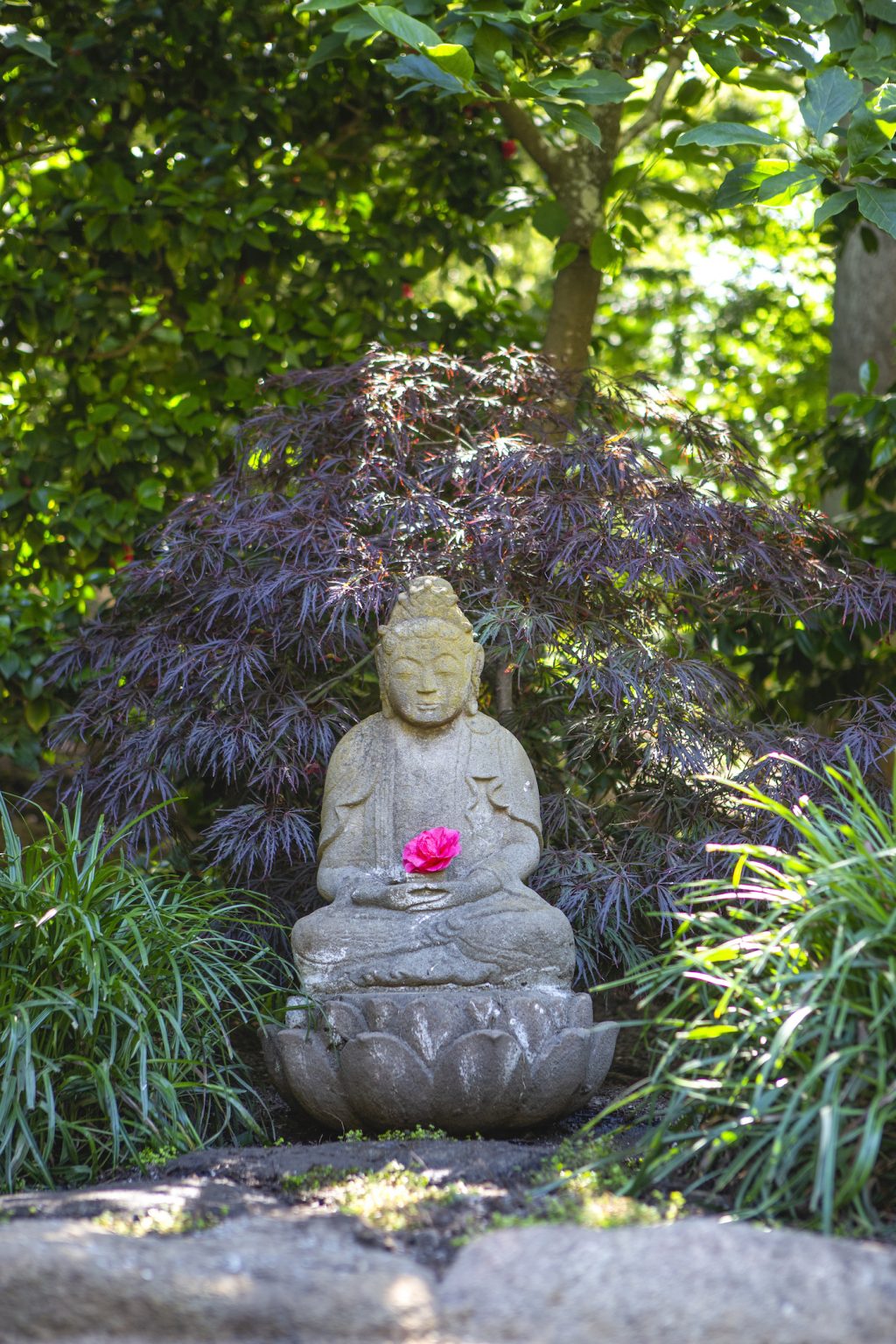 Lotusland Announces Opening of Japanese Garden - Montecito