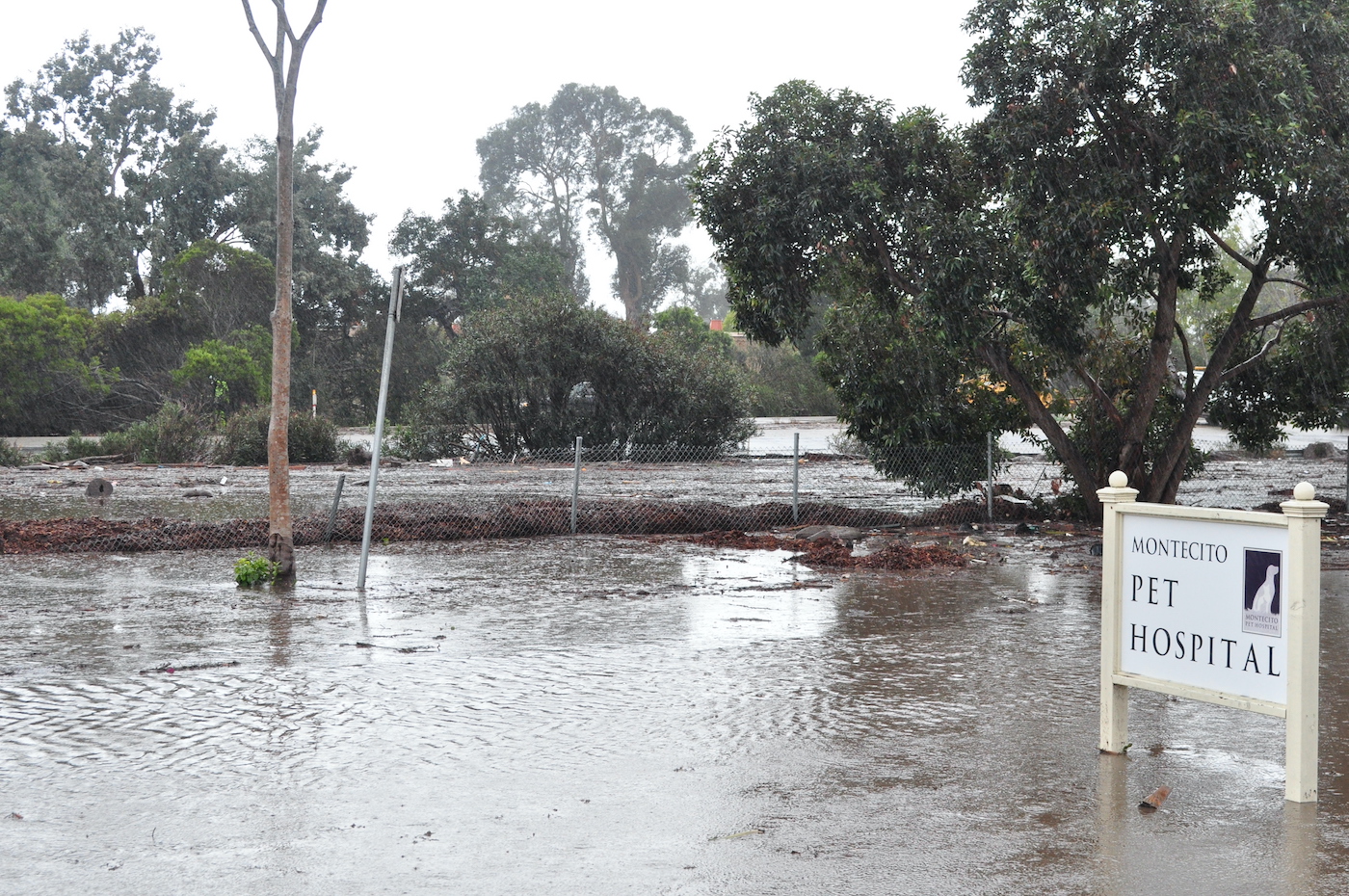 Catastrophic Flooding in Montecito - Montecito