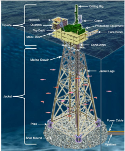 Rigs To Reefs: The Sub-Surface Story Of Oil Platform Decommissioning ...